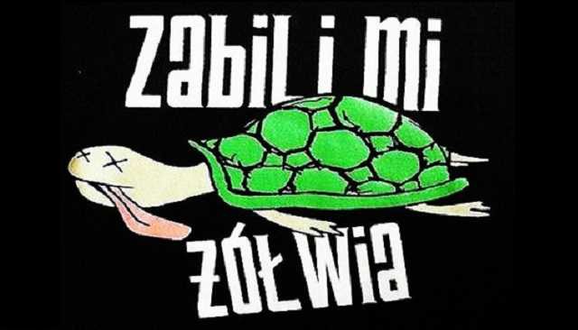 Zabili Mi Żółwia