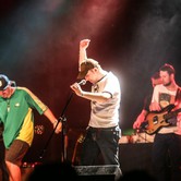 VAVAMUFFIN 2013-12-10