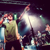 VAVAMUFFIN 2013-12-10