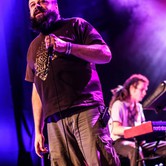 VAVAMUFFIN 2013-12-10