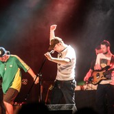 VAVAMUFFIN 2013-12-10