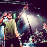 VAVAMUFFIN 2013-12-10