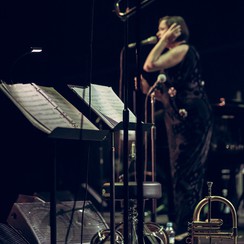 2015-10-08 PINK MARTINI (SALA ZIEMI, POZNAŃ), FOT.