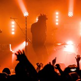 CURLY HEADS 2015-04-09