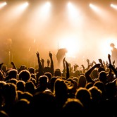 CURLY HEADS 2015-04-09