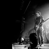 CURLY HEADS 2015-04-09