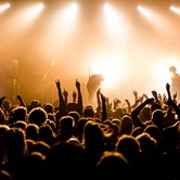 CURLY HEADS 2015-04-09