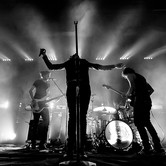 CURLY HEADS 2015-04-09