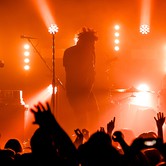 CURLY HEADS 2015-04-09