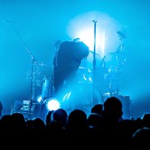 CURLY HEADS 2015-04-09