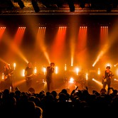 CURLY HEADS 2015-04-09