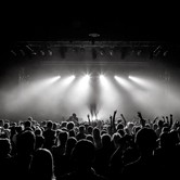 CURLY HEADS 2015-04-09