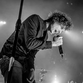 CURLY HEADS 2015-04-09