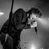 CURLY HEADS 2015-04-09