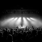 CURLY HEADS 2015-04-09