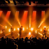 CURLY HEADS 2015-04-09