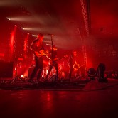 CURLY HEADS 2015-04-09