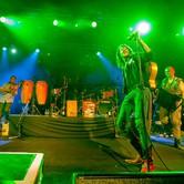 GOGOL BORDELLO (KLUB STODOŁA - WARSZAWA) 2014-12-04