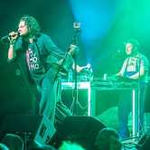 BRACIA FIGO FAGOT 2013-10-05