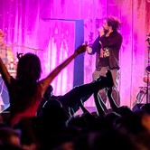 BRACIA FIGO FAGOT 2013-10-05