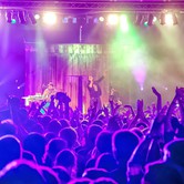 BRACIA FIGO FAGOT 2013-10-05