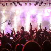 BRACIA FIGO FAGOT 2013-10-05