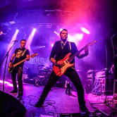 Bracia Figo Fagot 2014-02-21