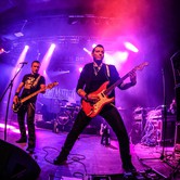 Bracia Figo Fagot 2014-02-21