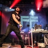 Bracia Figo Fagot 2014-02-21