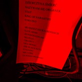 ØRGANEK (OPEN STAGE) 2015-02-05