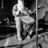 BOMBINO 2013-10-21
