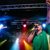 VAVAMUFFIN 2013-12-10