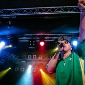 VAVAMUFFIN 2013-12-10