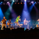 VAVAMUFFIN 2013-12-10