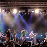 VAVAMUFFIN 2013-12-10