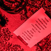 CRYSTAL FIGHTERS 2013-11-11