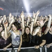 WHITE LIES 2013-11-20