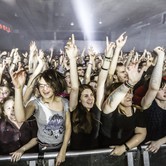 WHITE LIES 2013-11-20