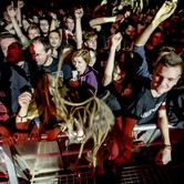 LUXTORPEDA 2015-11-27