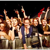THE WOMBATS 2011-11-28