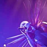 MONIKA BRODKA 2011-11-24