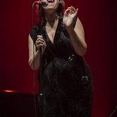 PINK MARTINI Dom Muzyki i Tańca - Zabrze 2015-10-07