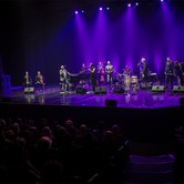 PINK MARTINI Dom Muzyki i Tańca - Zabrze 2015-10-07