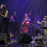 PINK MARTINI Dom Muzyki i Tańca - Zabrze 2015-10-07