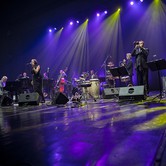 PINK MARTINI Dom Muzyki i Tańca - Zabrze 2015-10-07