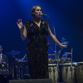 PINK MARTINI Dom Muzyki i Tańca - Zabrze 2015-10-07