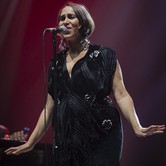 PINK MARTINI Dom Muzyki i Tańca - Zabrze 2015-10-07