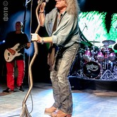 PERFECT DZIECIOM ULICY 2013-11-14