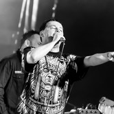 PUNKY REGGAE LIVE 2013-04-27