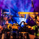 PUNKY REGGAE LIVE 2013-04-27